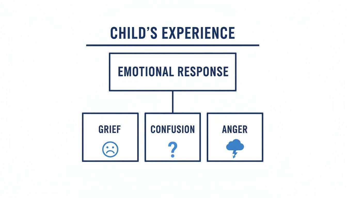 A flowchart diagram illustrating a child's emotional responses of grief, confusion, and anger.