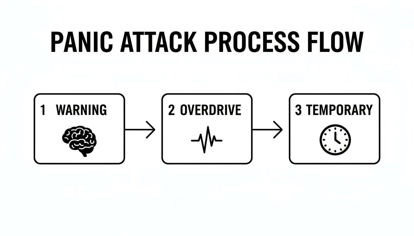 A simple flowchart illustrating the three-step panic attack process: Warning, Overdrive, and Temporary.