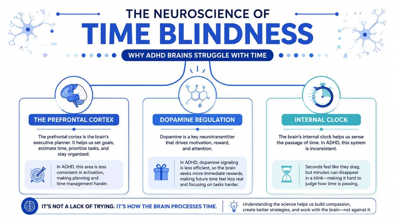 An infographic titled The Neuroscience of Time Blindness explaining how ADHD affects the brain's perception of time.