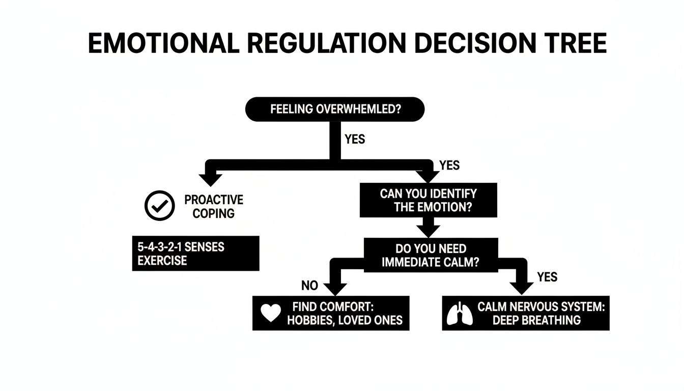 Flowchart for emotional regulation, guiding overwhelmed individuals through coping mechanisms and calming techniques.