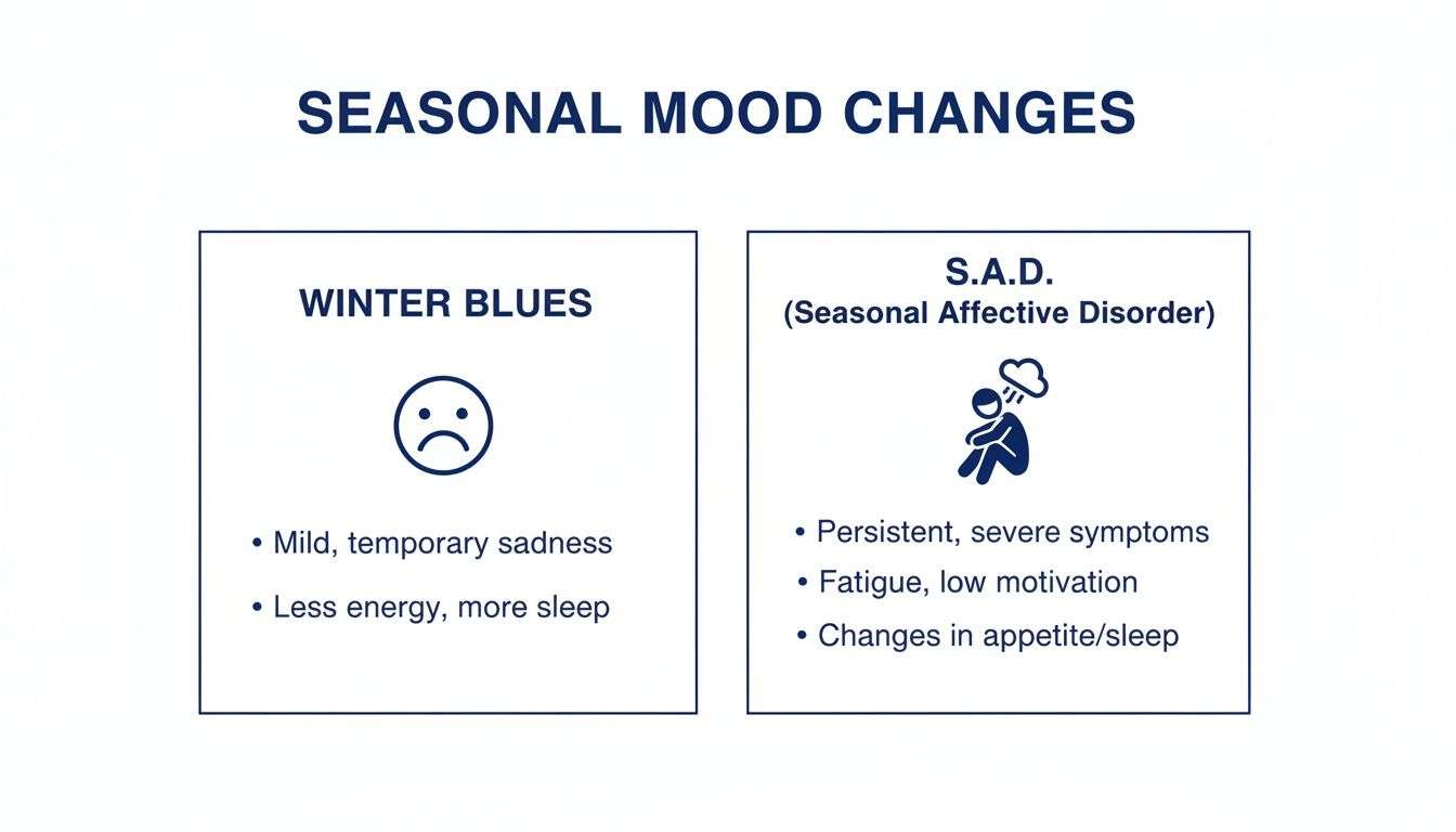 Infographic comparing Winter Blues and Seasonal Affective Disorder (SAD) symptoms, including sadness, fatigue, and sleep changes.