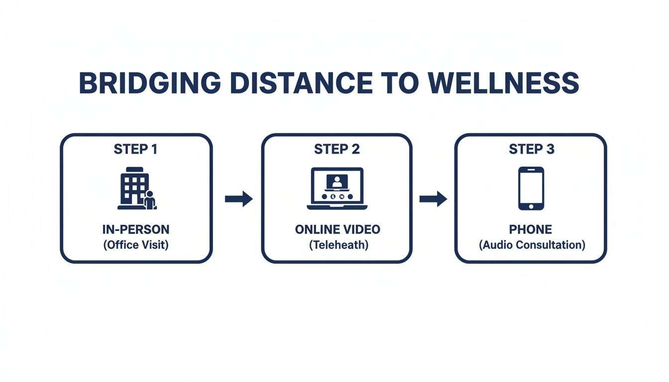 Infographic showing three steps for accessing wellness services: in-person, online video telehealth, and phone consultation.