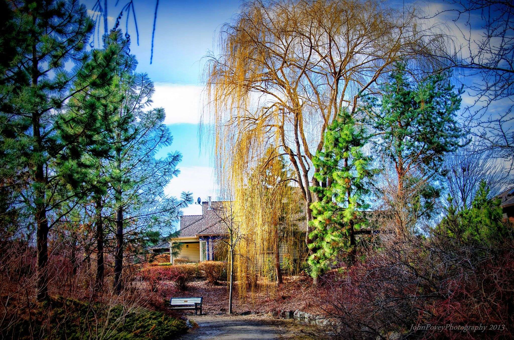 kelowna marriage counselling - A picturesque garden path leading to a charming house in Kelowna, BC, surrounded by lush trees.