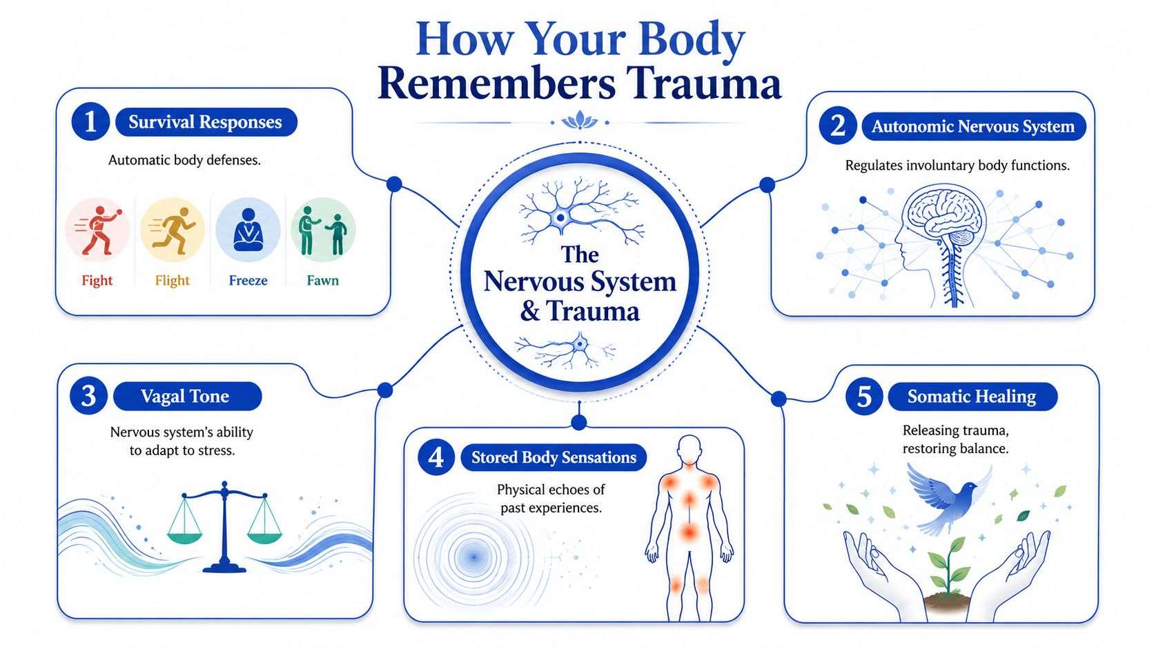 An educational infographic titled How Your Body Remembers Trauma detailing the connection between the nervous system and trauma.