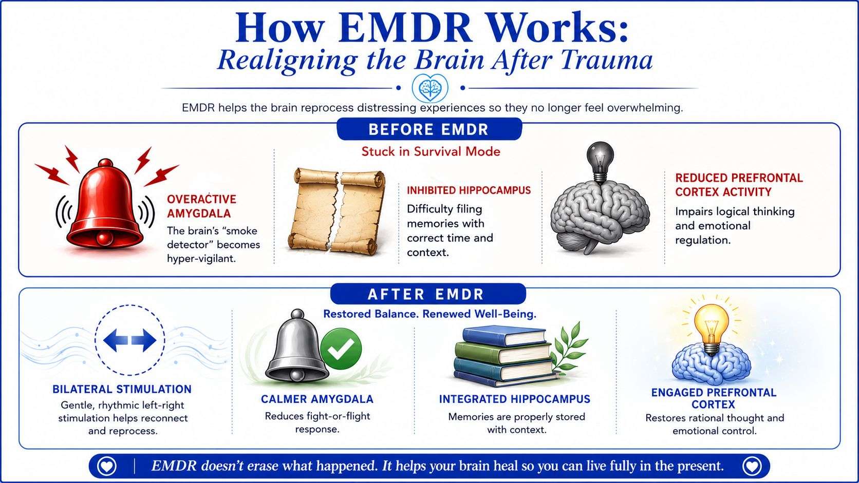 A diagram illustrating how EMDR therapy helps the brain process trauma by realigning neurological functions.