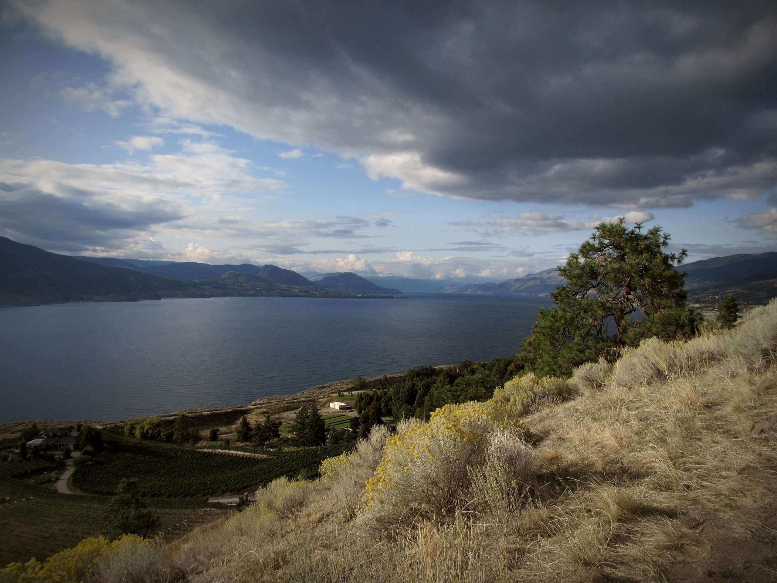 When Is Teen Moodiness a Red Flag? What Parents in the Okanagan Should Know