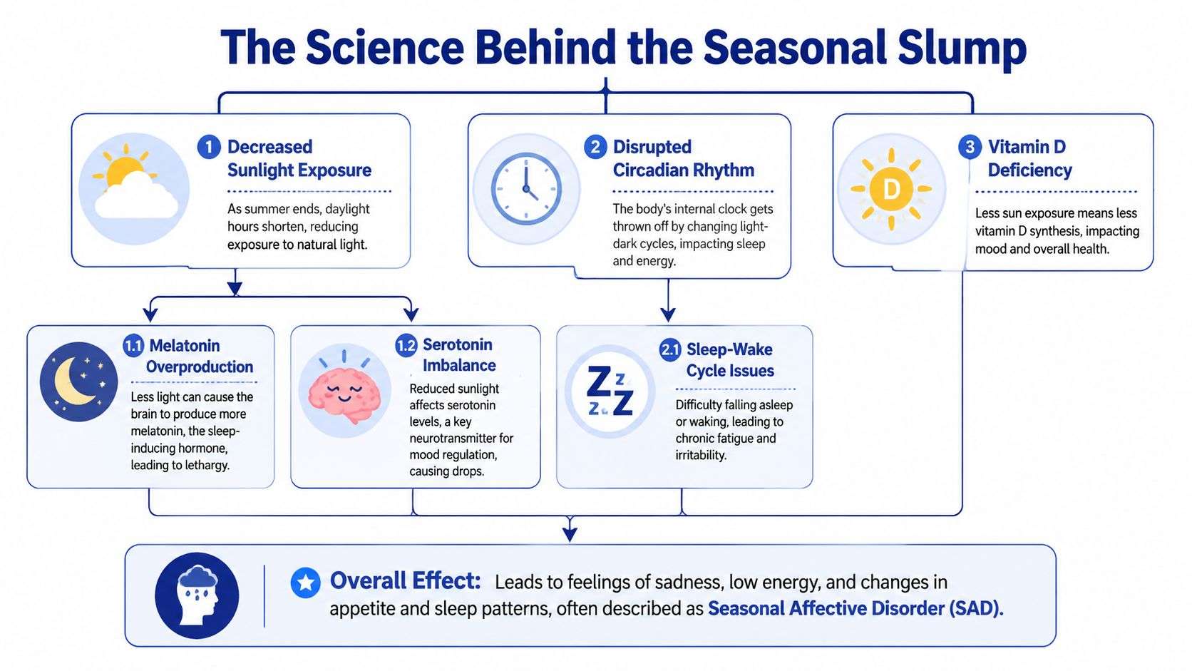 A flowchart explaining the biological causes of seasonal slump and Seasonal Affective Disorder including light exposure.